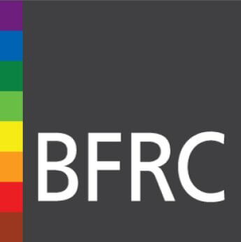 BRFC LOGO