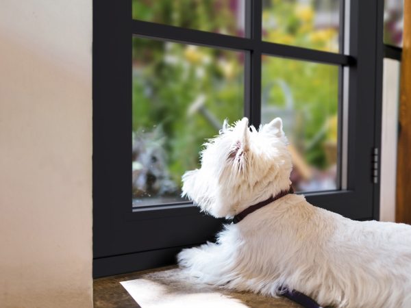 uPVC Flush Casement Windows Northamptonshire