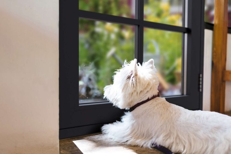 aluminium look windows