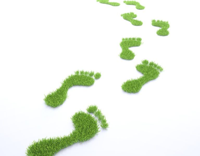 Earth Day 2026: Our Power, Our Planet, Your Home