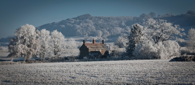 snowy field